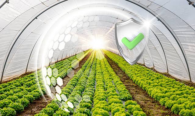 Tarım Sigortası Nedir?
